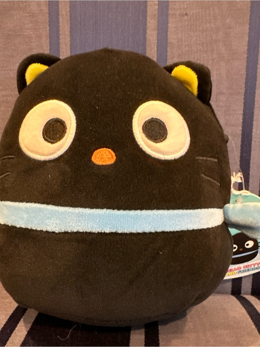 *Squishmallow 6-8" - Chococat black cat - Sanrio - Retired&Rare